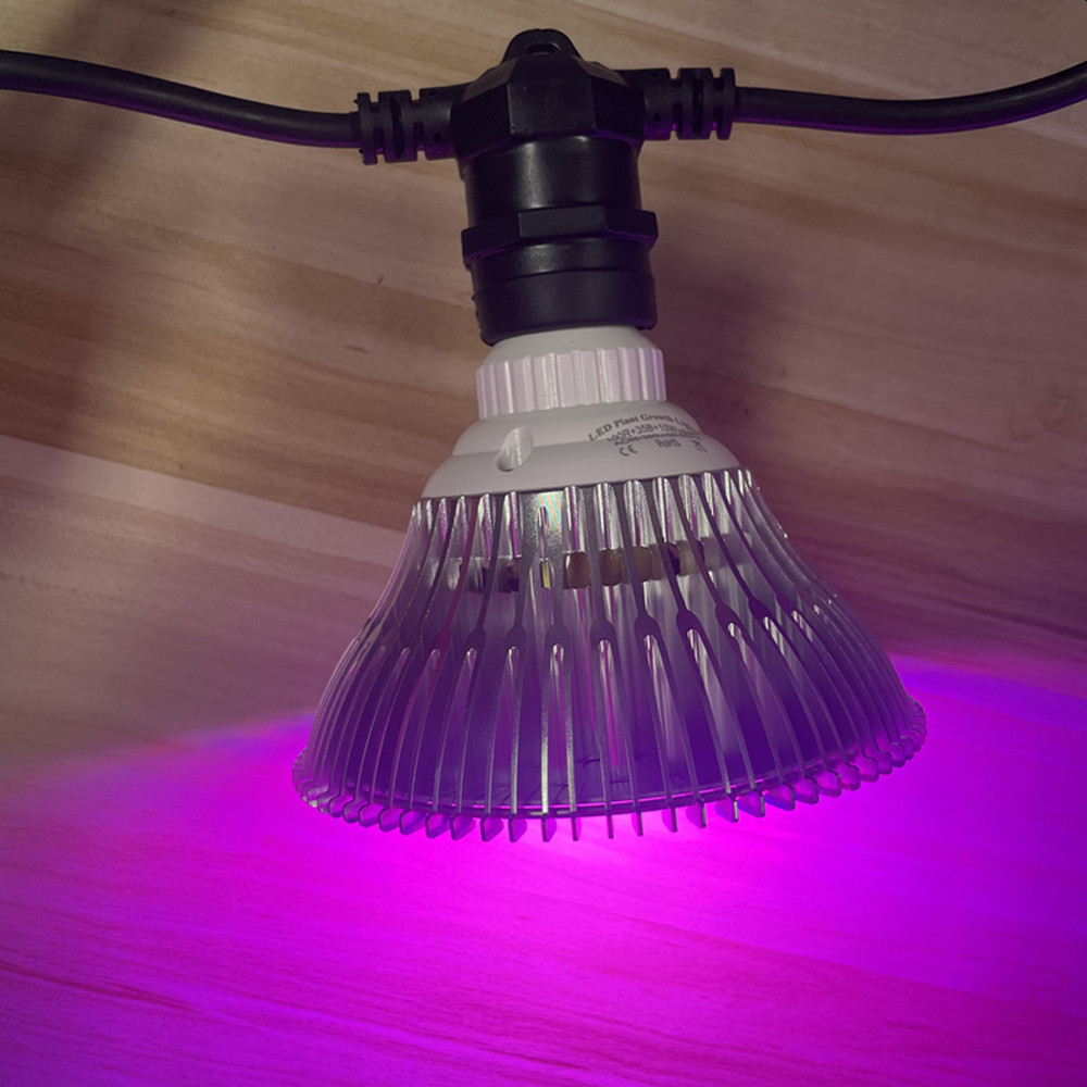 Cadena de luces LED de 10M, re - Outdoor Lighting Effects reseña y precio